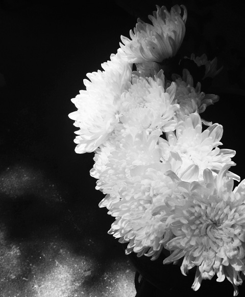 Servicios funerarios en Valencia