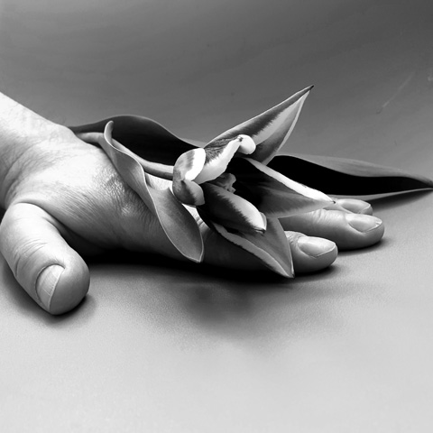 Servicios funerarios de emergencia